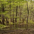 files/gallery/16690/62956.jpg